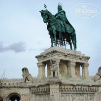 фото из отзыва ID 1481041