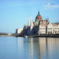 фото из отзыва ID 1481041