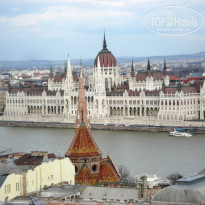 фото из отзыва ID 1481041