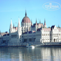 фото из отзыва ID 1481041