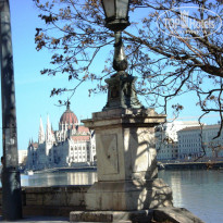 фото из отзыва ID 1481041