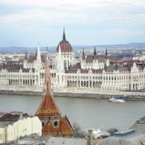 фото из отзыва ID 1481041