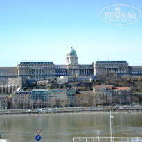 фото из отзыва ID 1481041