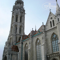 фото из отзыва ID 1481041