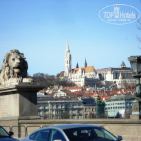 фото из отзыва ID 1481041