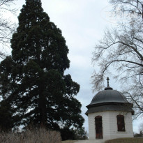 фото из отзыва ID 1481041