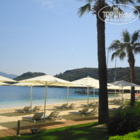 фото из отзыва ID 1481727