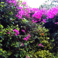 фото из отзыва ID 1481886