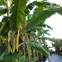 фото из отзыва ID 1481886