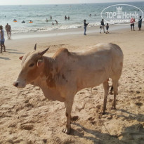 фото из отзыва ID 1481937