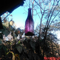 фото из отзыва ID 1481964