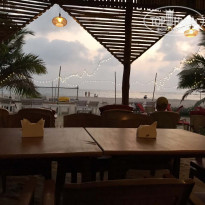 фото из отзыва ID 1482021