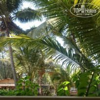 фото из отзыва ID 1482021