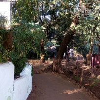 фото из отзыва ID 1482043