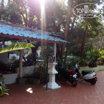 фото из отзыва ID 1482043