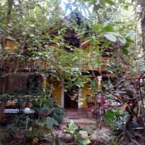 фото из отзыва ID 1482043