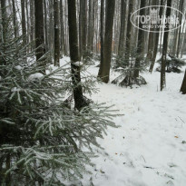 фото из отзыва ID 1482147