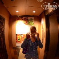 фото из отзыва ID 1482152