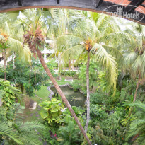 фото из отзыва ID 1482152