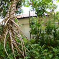 фото из отзыва ID 1482152