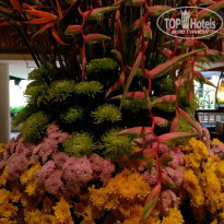 фото из отзыва ID 1482152