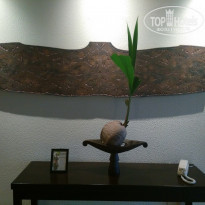 фото из отзыва ID 1482152