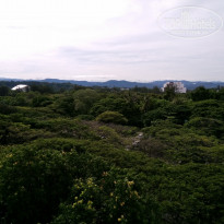 фото из отзыва ID 1482152