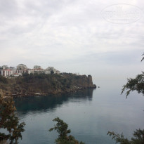 фото из отзыва ID 1482296