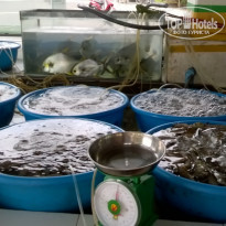 фото из отзыва ID 1482307