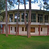 фото из отзыва ID 1482334