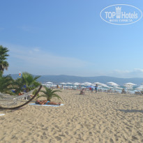 фото из отзыва ID 1482359