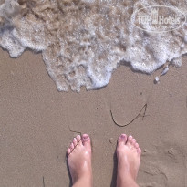 фото из отзыва ID 1482359