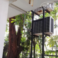 фото из отзыва ID 1482384