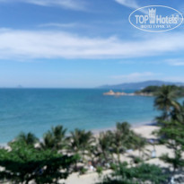 фото из отзыва ID 1482385