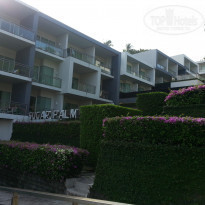 фото из отзыва ID 1482568