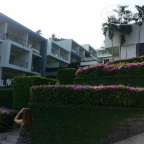 фото из отзыва ID 1482568