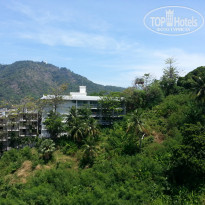 фото из отзыва ID 1482568