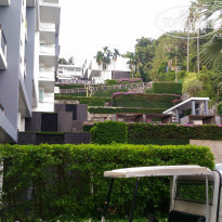 фото из отзыва ID 1482568