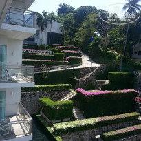 фото из отзыва ID 1482568