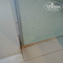 фото из отзыва ID 1482568