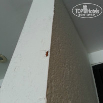 фото из отзыва ID 1482568