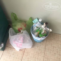 фото из отзыва ID 1482590