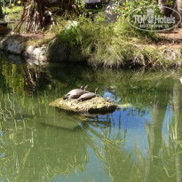 фото из отзыва ID 1481861