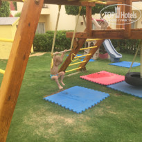 фото из отзыва ID 1482606