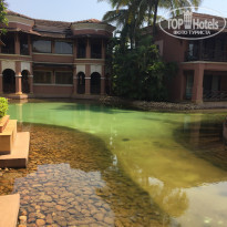 фото из отзыва ID 1482647