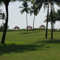 фото из отзыва ID 1482647