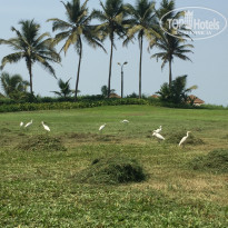 фото из отзыва ID 1482647