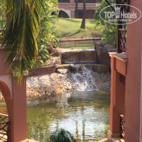 фото из отзыва ID 1482647