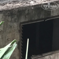 фото из отзыва ID 1482666