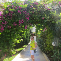 фото из отзыва ID 1482735